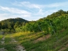 20140808_201008